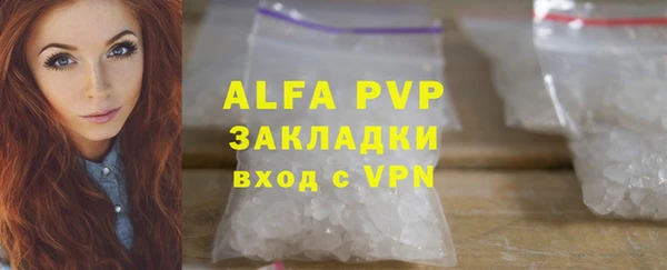 крисы Абаза
