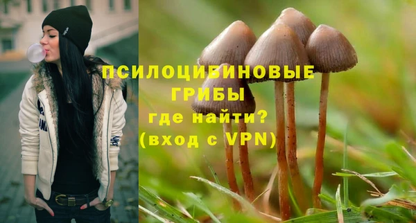 экстази Алексин
