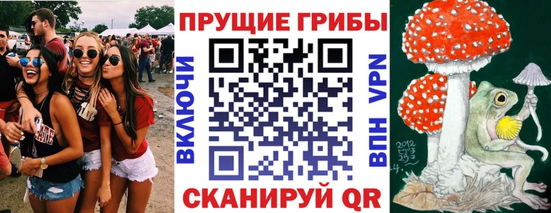 Псилоцибиновые грибы Cubensis  Красково 